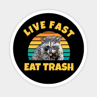 Raccoon Live Fast Eat Trash Magnet